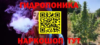 мяу мяу кристалл Малоярославец