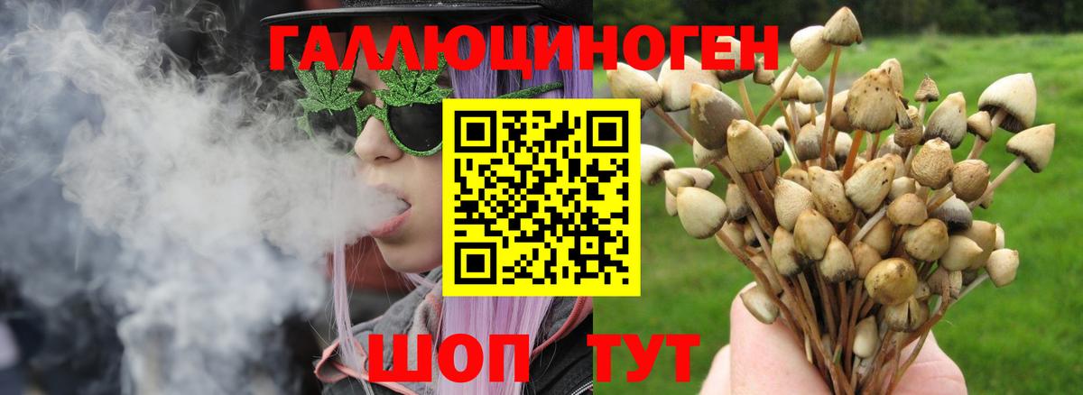 Галлюциногенные грибы GOLDEN TEACHER Владимир